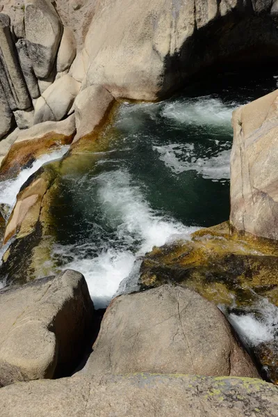 DSC_3793 (Large).JPG